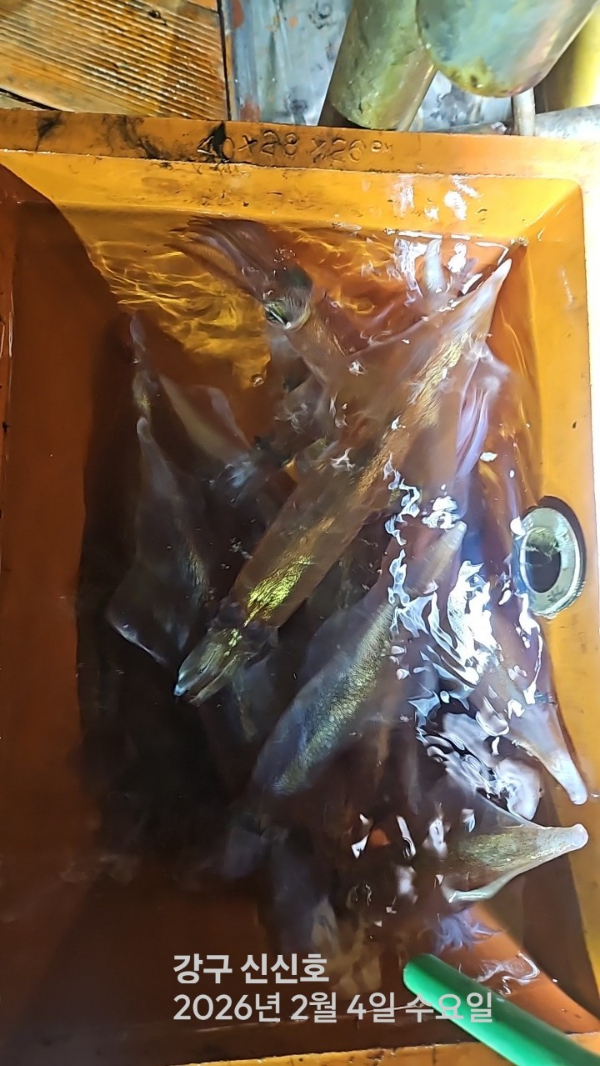 신신낚시 강구점 신신호_사진_20260205_8.jpg