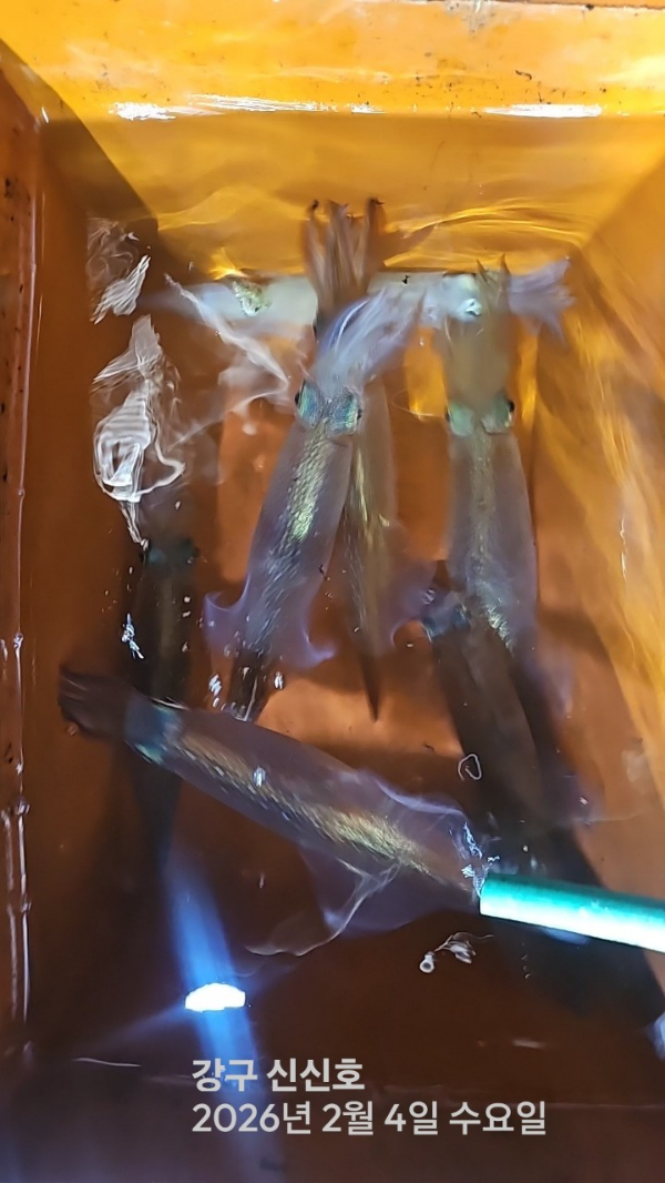 신신낚시 강구점 신신호_사진_20260205_15.jpg