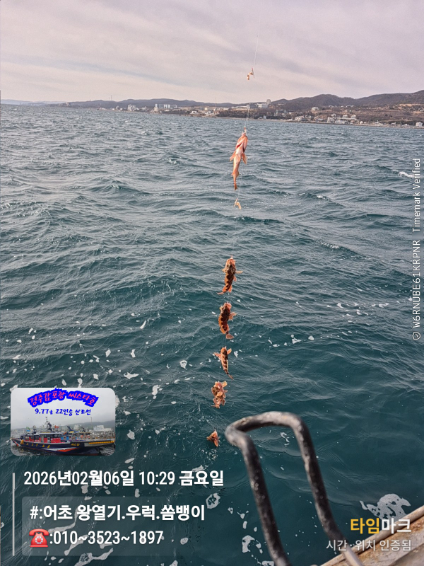 2026-02-06 10.29.53__(#-어초 왕열기.우럭.쏨뱅이)_(-010~3523~1897).jpg