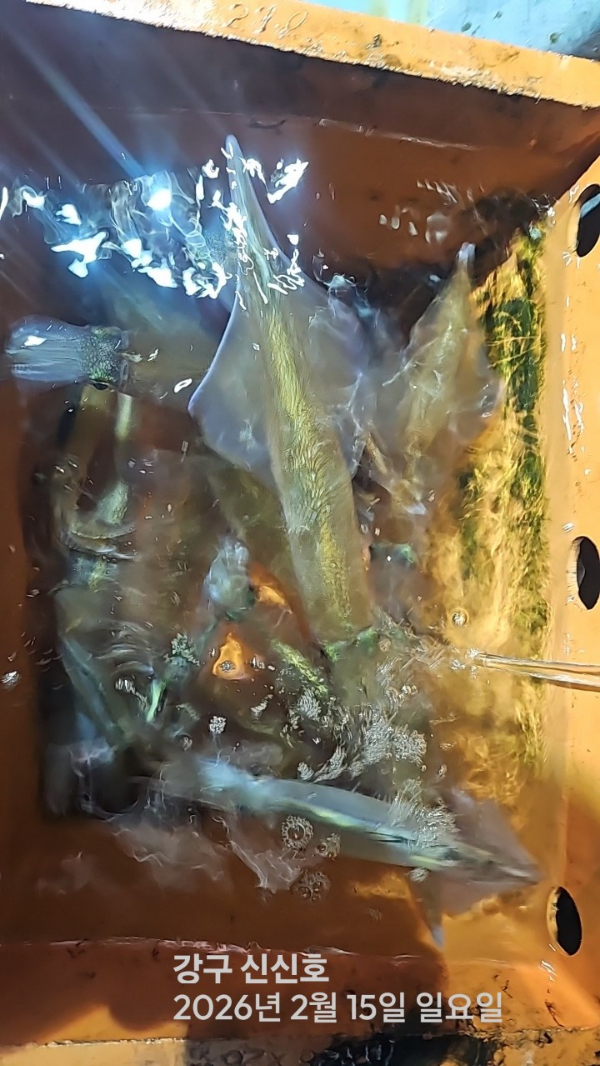 신신낚시 강구점 신신호_사진_20260216_9.jpg