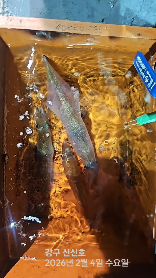 신신낚시 강구점 신신호_사진_20260205_17.jpg