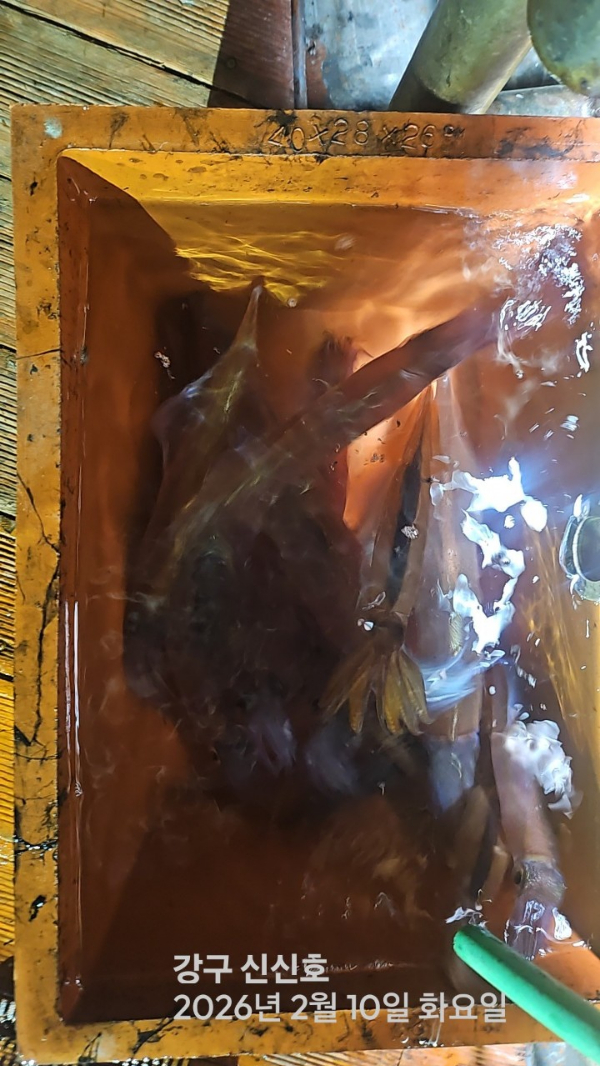 신신낚시 강구점 신신호_사진_20260211_1.jpg