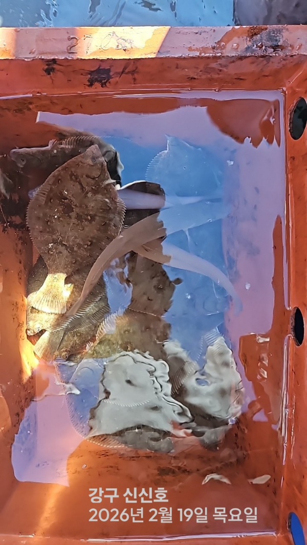신신낚시 강구점 신신호_사진_20260219_12.jpg