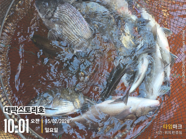 2026-02-15 10.01.40__(대박스토리호).jpg