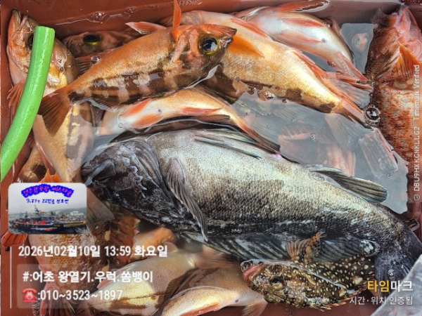 2026-02-10 13.59.34__(#-어초 왕열기.우럭.쏨뱅이)_(-010~3523~1897).jpg