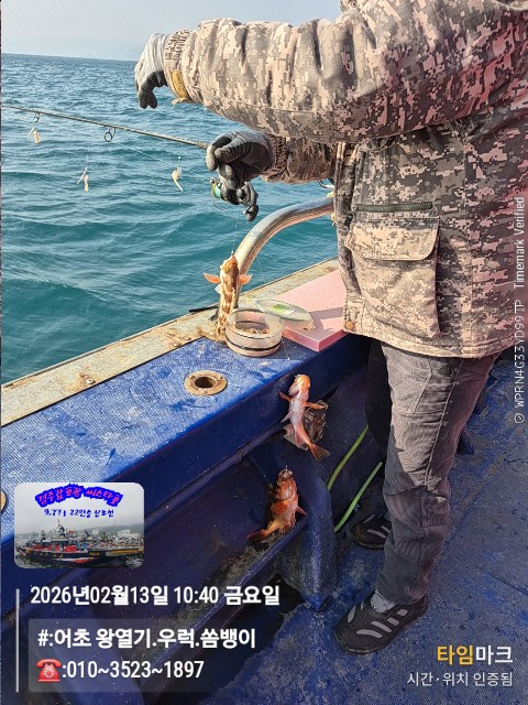 2026-02-13 10.40.46__(#-어초 왕열기.우럭.쏨뱅이)_(-010~3523~1897).jpg