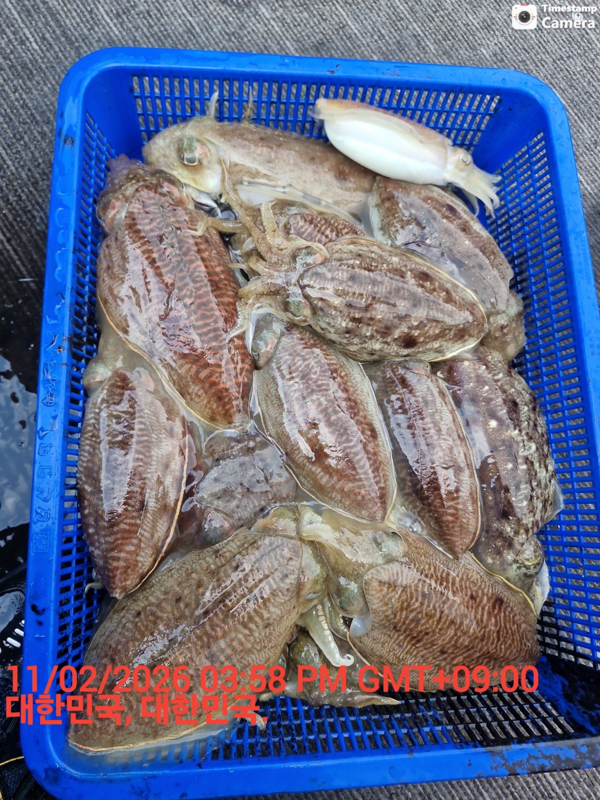 제주갈치낚시 화원호_사진_20260212_13.jpeg