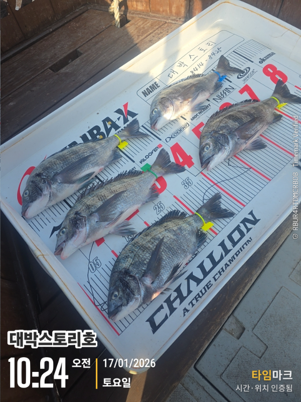 2026-01-17 10.24.00__(대박스토리호).jpg