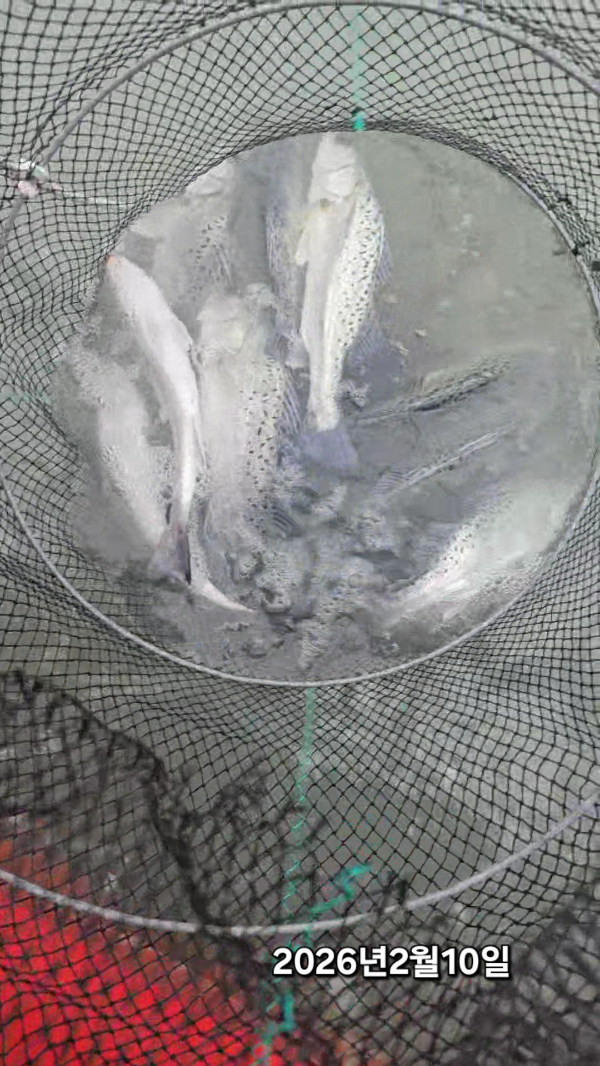 2026_02_10 12_16 (2)(1).jpg