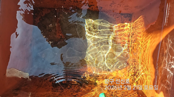 신신낚시 강구점 신신호_사진_20260221_20.jpg