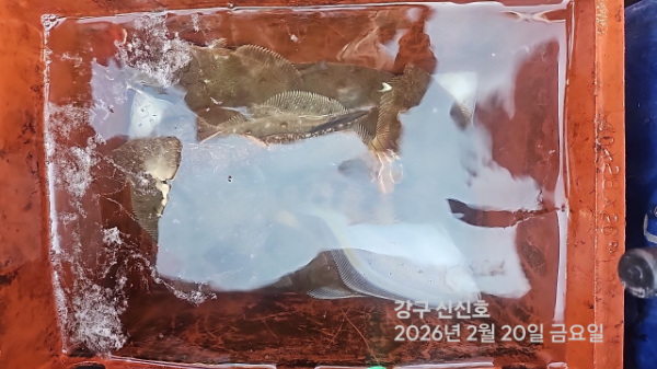 신신낚시 강구점 신신호_사진_20260220_6.jpg