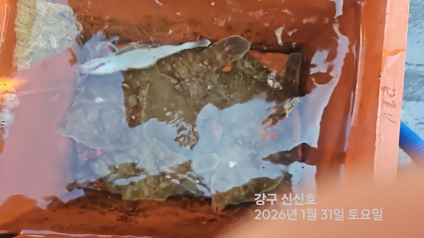 신신낚시 강구점 신신호_사진_20260131_8.jpg