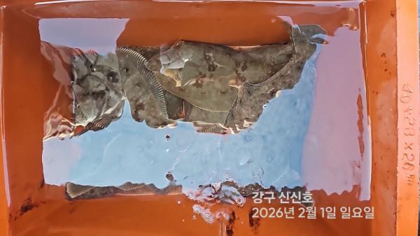 신신낚시 강구점 신신호_사진_20260201_6.jpg