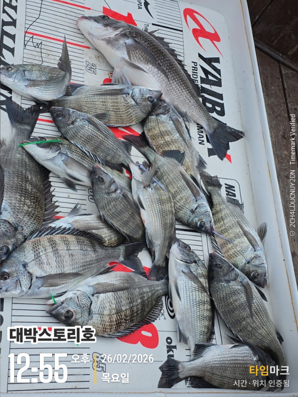 2026-02-26 12.55.45__(대박스토리호).jpg