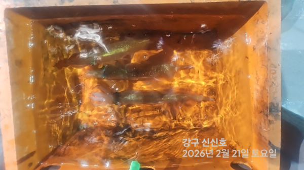 신신낚시 강구점 신신호_사진_20260222_6.jpg