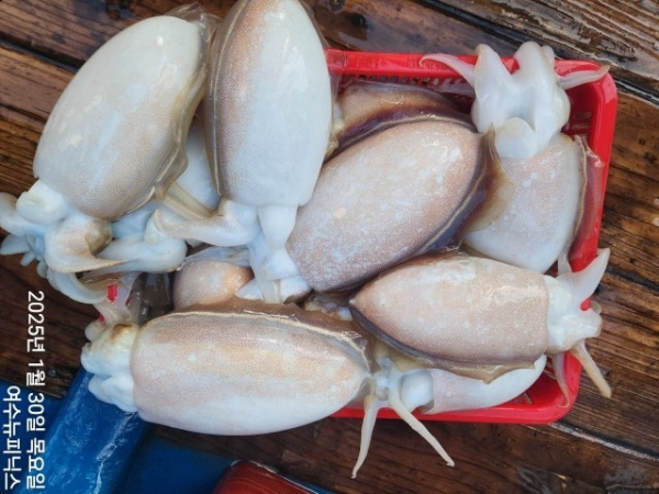 1월30일심해갑 (5)-tile.jpg