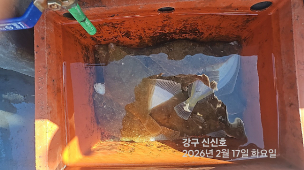 신신낚시 강구점 신신호_사진_20260217_13.jpg