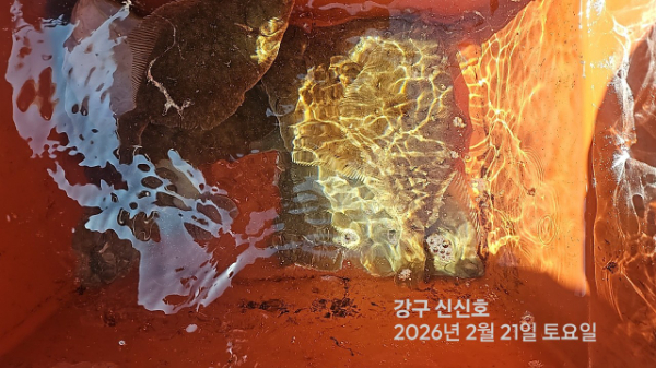 신신낚시 강구점 신신호_사진_20260221_19.jpg