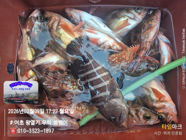 2026-02-09 17.22.01__(#-어초 왕열기.우럭.쏨뱅이)_(-010~3523~1897).jpg