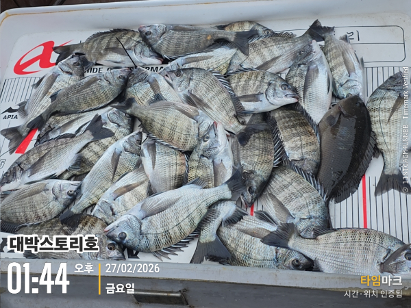 2026-02-27 01.44.20__(대박스토리호).jpg