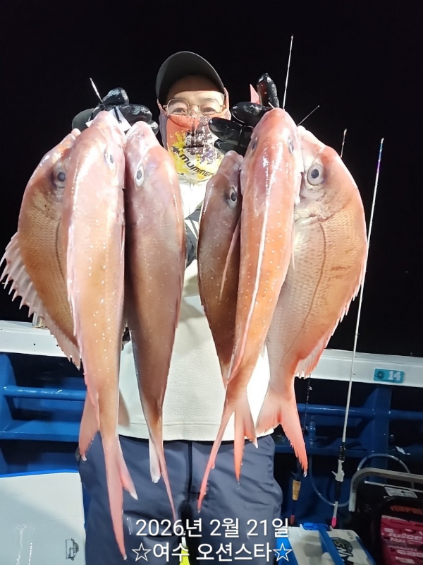 ☆여수오션스타피싱☆쭈꾸미낚시 문어낚시 갑오징어낚시 타이라바 여수갈치낚시 갈치지깅_사진_20260222_12.jpg
