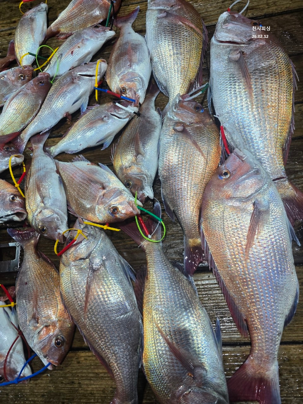 1004피싱_사진_20260212_7.jpg