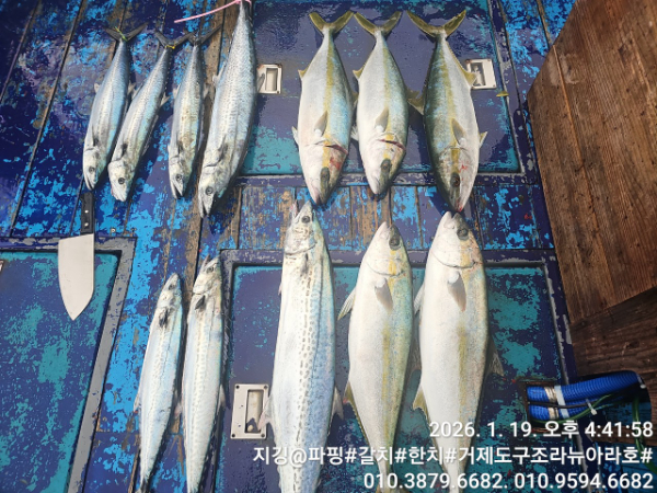 거제도 구조라  뉴아라호 (지깅, 파핑,한치,갈치,타이바라 전문)_사진_20260120_1.jpg