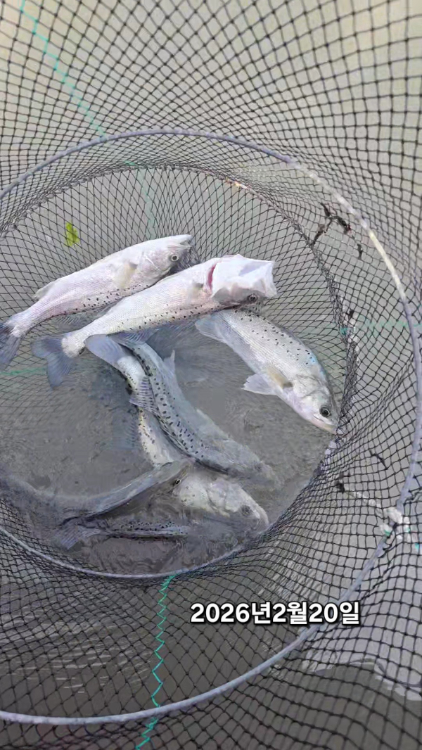 2026_02_20 14_32 (1)(1).jpg