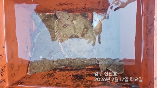 신신낚시 강구점 신신호_사진_20260217_10.jpg