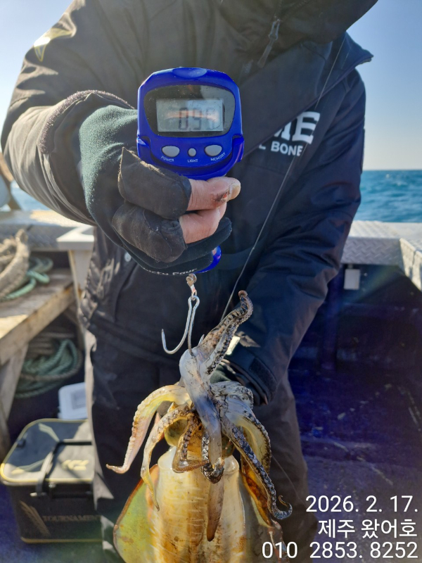 제주왔어호_사진_20260218_19.jpg