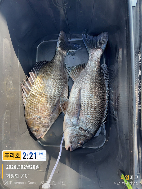 2026-02-20 14.21.10_(제목-퓨리호).jpeg