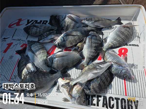 2026-02-15 01.34.50__(대박스토리호).jpg