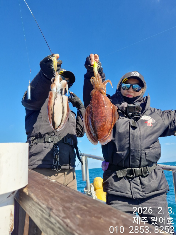 제주왔어호_사진_20260204_21.jpg