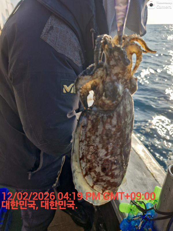 제주갈치낚시 화원호_사진_20260212_2.jpeg