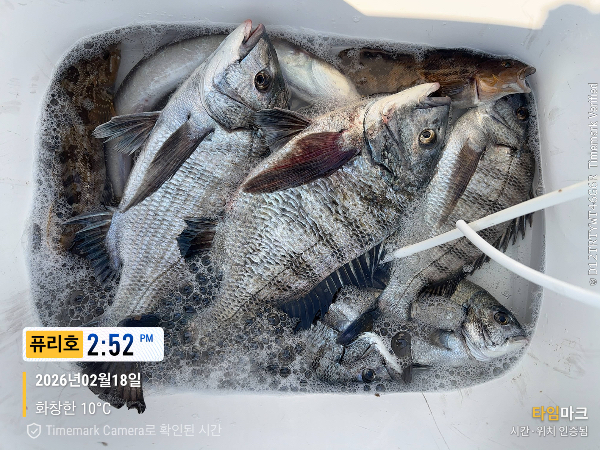 2026-02-18 14.52.47_(제목-퓨리호).jpeg