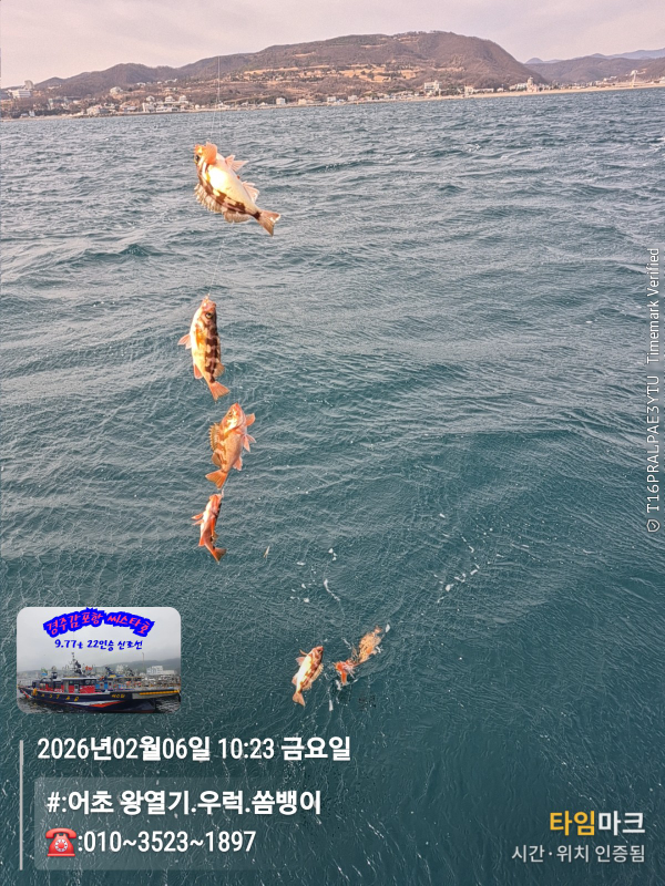 2026-02-06 10.23.34__(#-어초 왕열기.우럭.쏨뱅이)_(-010~3523~1897).jpg