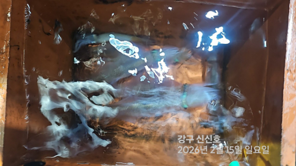 신신낚시 강구점 신신호_사진_20260216_13.jpg