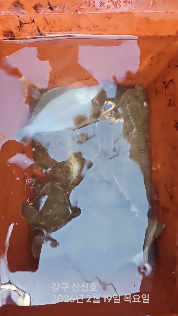 신신낚시 강구점 신신호_사진_20260219_8.jpg