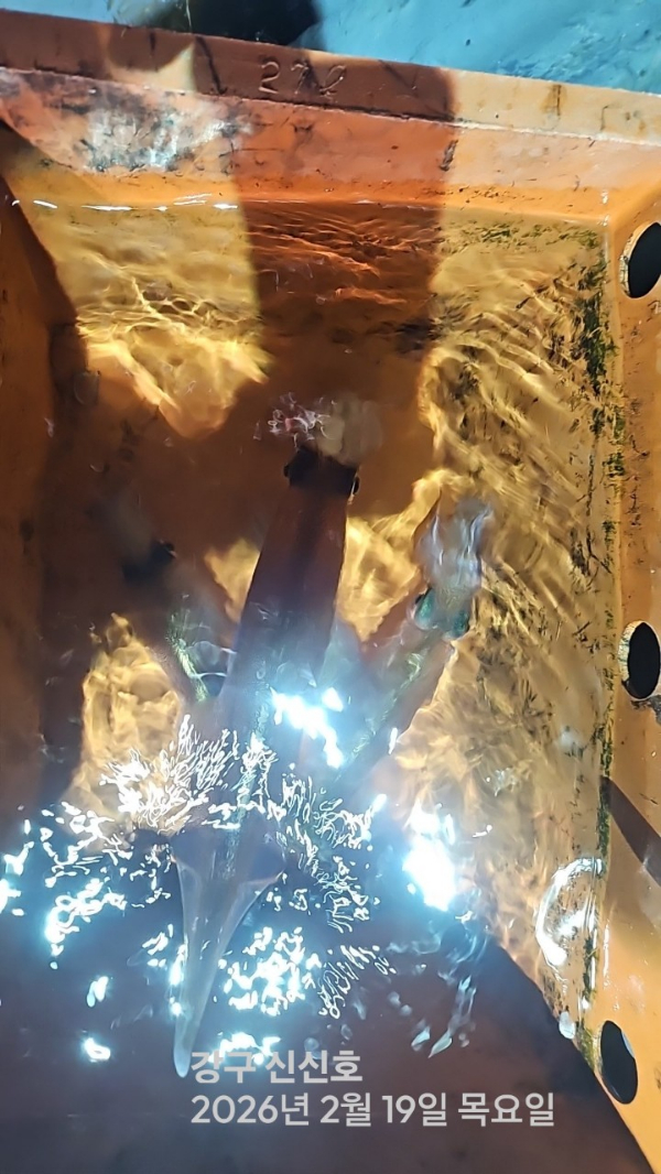 신신낚시 강구점 신신호_사진_20260220_4.jpg