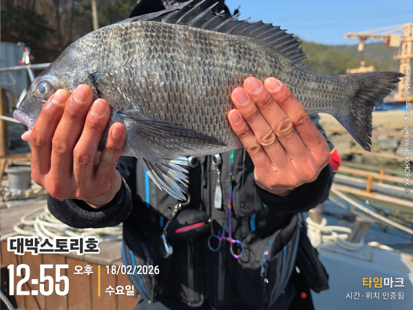 2026-02-18 12.55.59__(대박스토리호).jpg