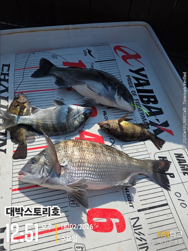 2026-02-18 12.51.48__(대박스토리호).jpg