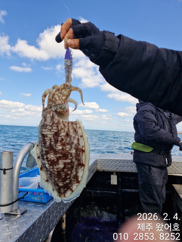 제주왔어호_사진_20260205_24.jpg