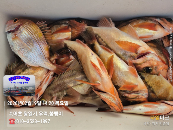 2026-02-19 14.20.23__(#-어초 왕열기.우럭.쏨뱅이)_(-010~3523~1897).jpg