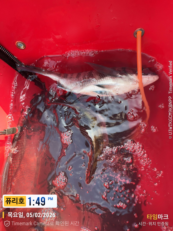 2026-02-05 13.49.03_(제목-퓨리호).jpeg