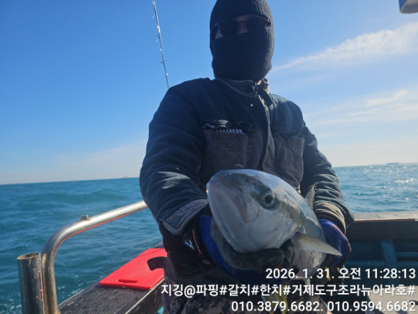 거제도 구조라  뉴아라호 (지깅, 파핑,한치,갈치,타이바라 전문)_사진_20260201_9.jpg