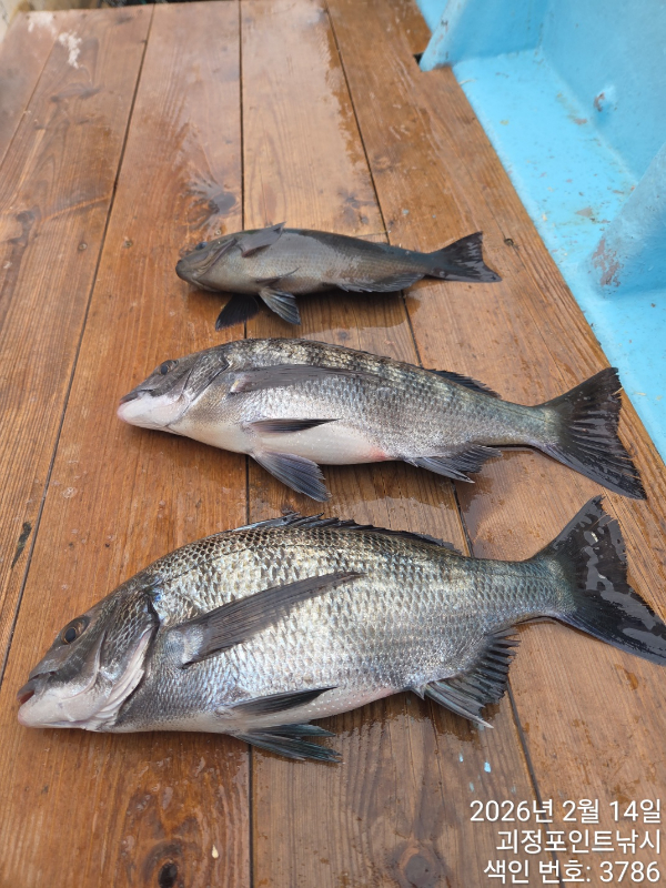 KakaoTalk_20260214_165003423_03 (1).jpg