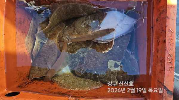 신신낚시 강구점 신신호_사진_20260219_14.jpg