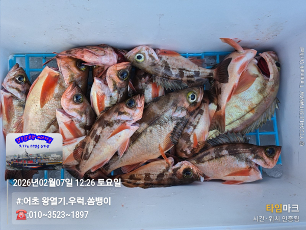 2026-02-07 12.26.25__(#-어초 왕열기.우럭.쏨뱅이)_(-010~3523~1897).jpg
