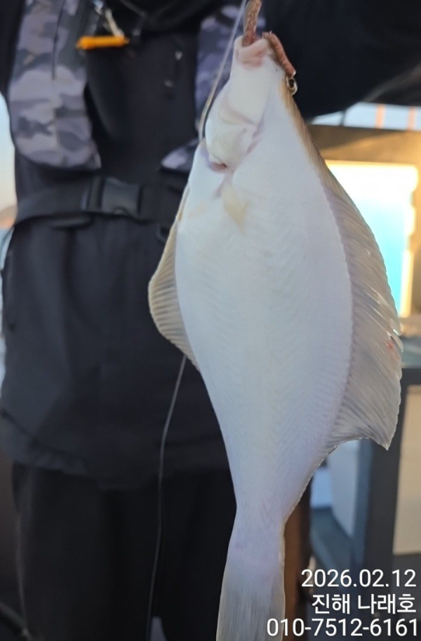 나래피싱(문어,낙지,갈치,호래기,감성돔)_사진_20260212_6.jpg