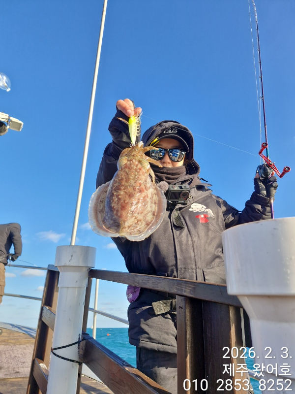 제주왔어호_사진_20260204_20.jpg